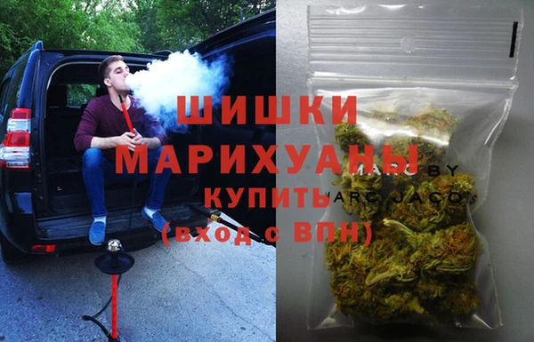 ГАЛЛЮЦИНОГЕННЫЕ ГРИБЫ Белокуриха
