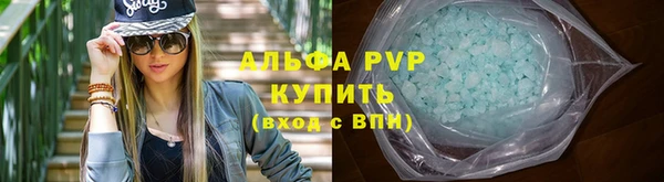 ГАЛЛЮЦИНОГЕННЫЕ ГРИБЫ Белокуриха