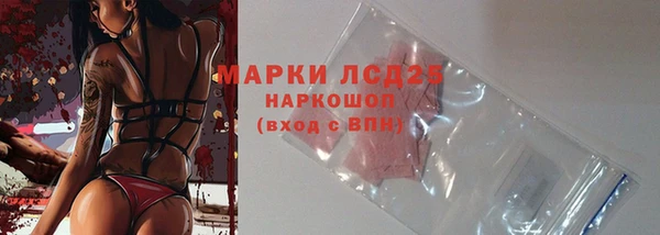ГАЛЛЮЦИНОГЕННЫЕ ГРИБЫ Белокуриха