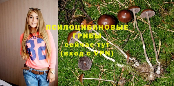 ГАЛЛЮЦИНОГЕННЫЕ ГРИБЫ Белокуриха