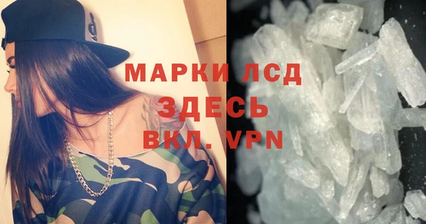 ГАЛЛЮЦИНОГЕННЫЕ ГРИБЫ Белокуриха