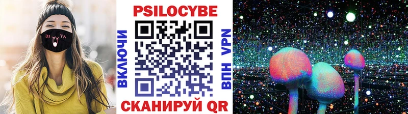 Псилоцибиновые грибы Psilocybe  магазин  наркотиков  Бугульма 